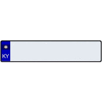 US State Euro License Plate