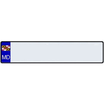 US State Euro License Plate