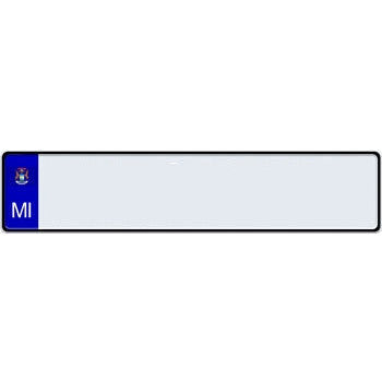US State Euro License Plate