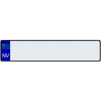 US State Euro License Plate