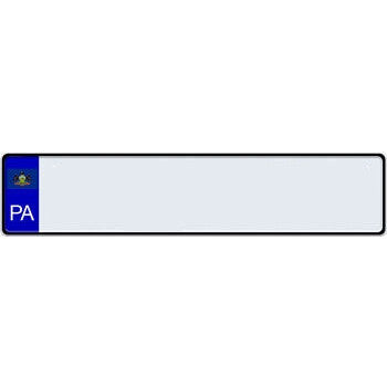US State Euro License Plate