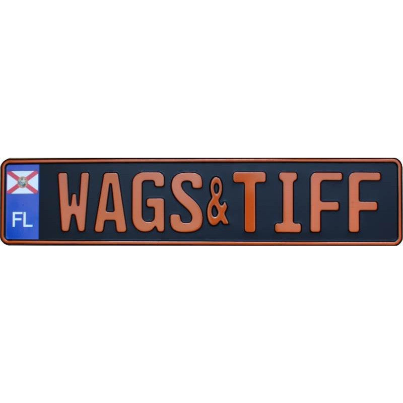US Eurostyle License Plate Florida orange