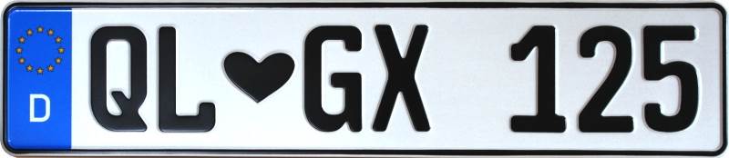 10 German License Plates