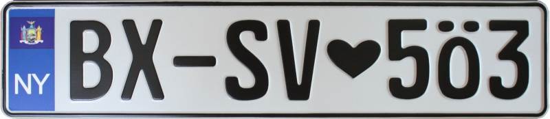 US Eurostyle License Plate New York